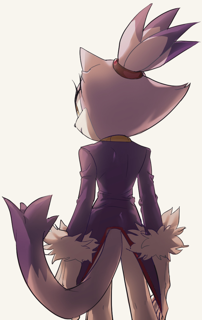 Blaze The Cat (Sonic (Series)) Rule 34 Image