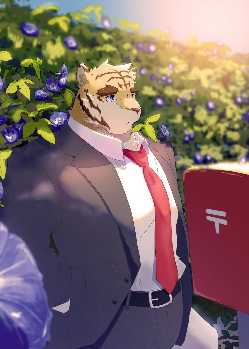 Morenatsu Rule 34 Image