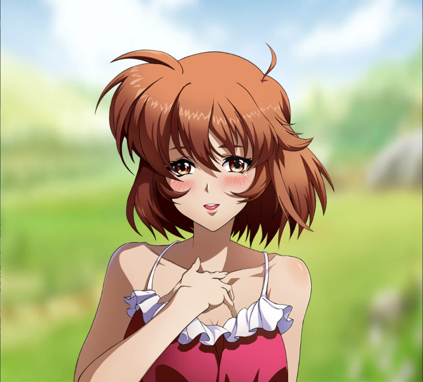 Langrisser Rule 34 Image