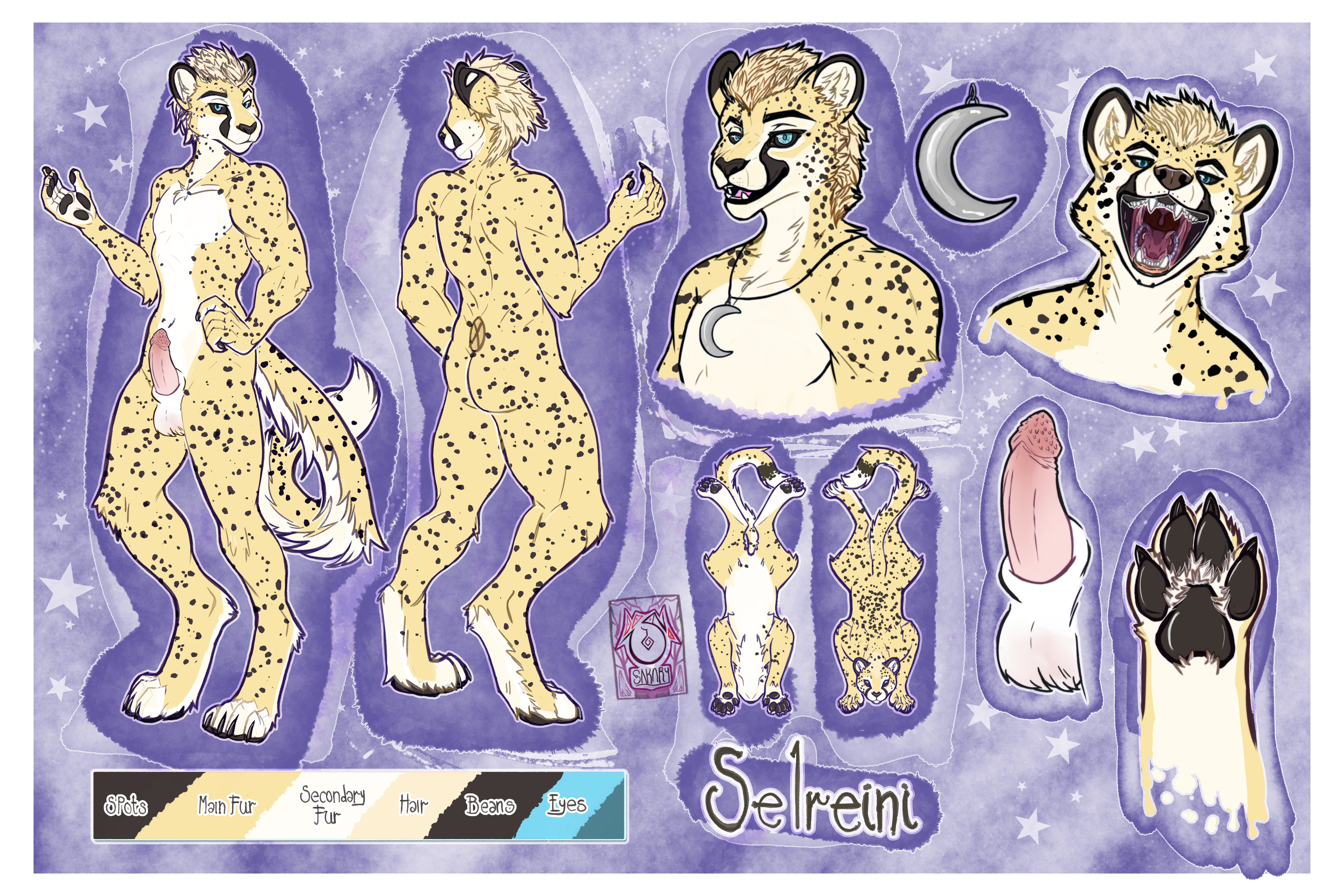 Selreini (Character) Rule 34 Image