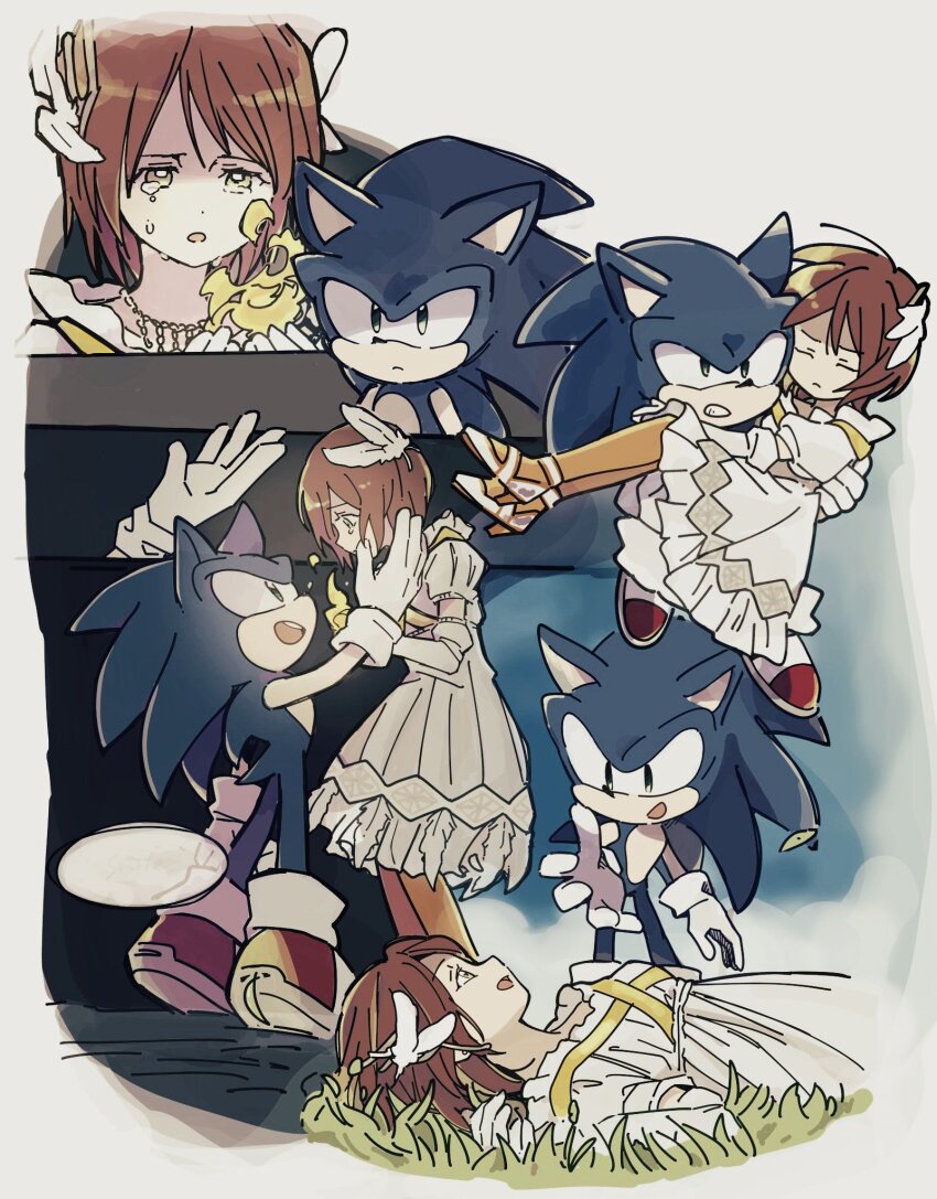 Sonic The Hedgehog (Princess Elise The Third) Rule 34 Image
