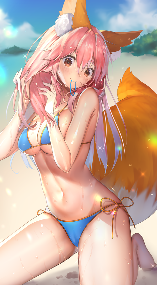 Tamamo No Mae (Fate) Rule 34 Image