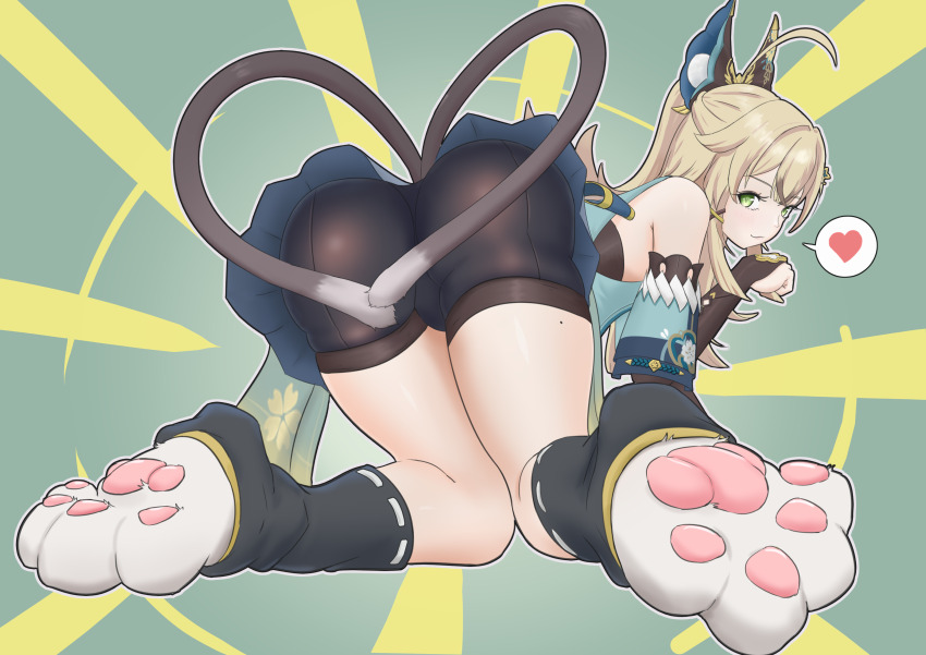 Kirara (Genshin Impact) Rule 34 Image