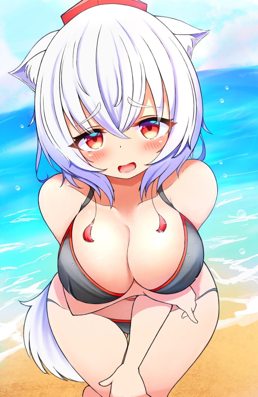 Inubashiri Momiji (Touhou) Rule 34 Image