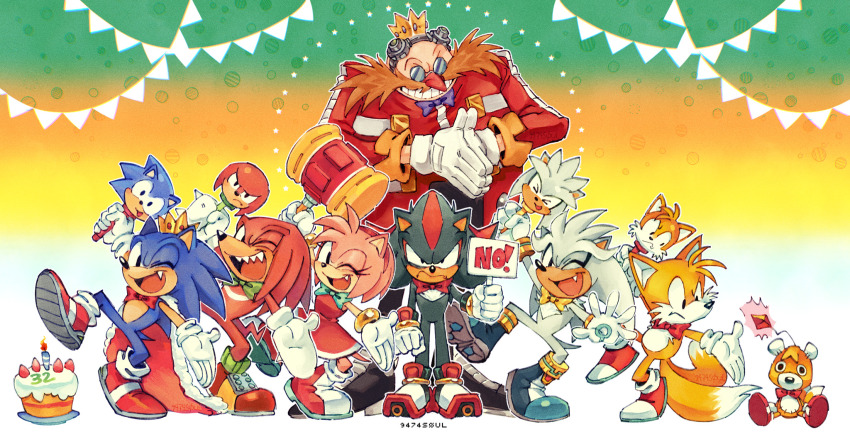 Amy Rose (Sonic (Series)) Rule 34 Image