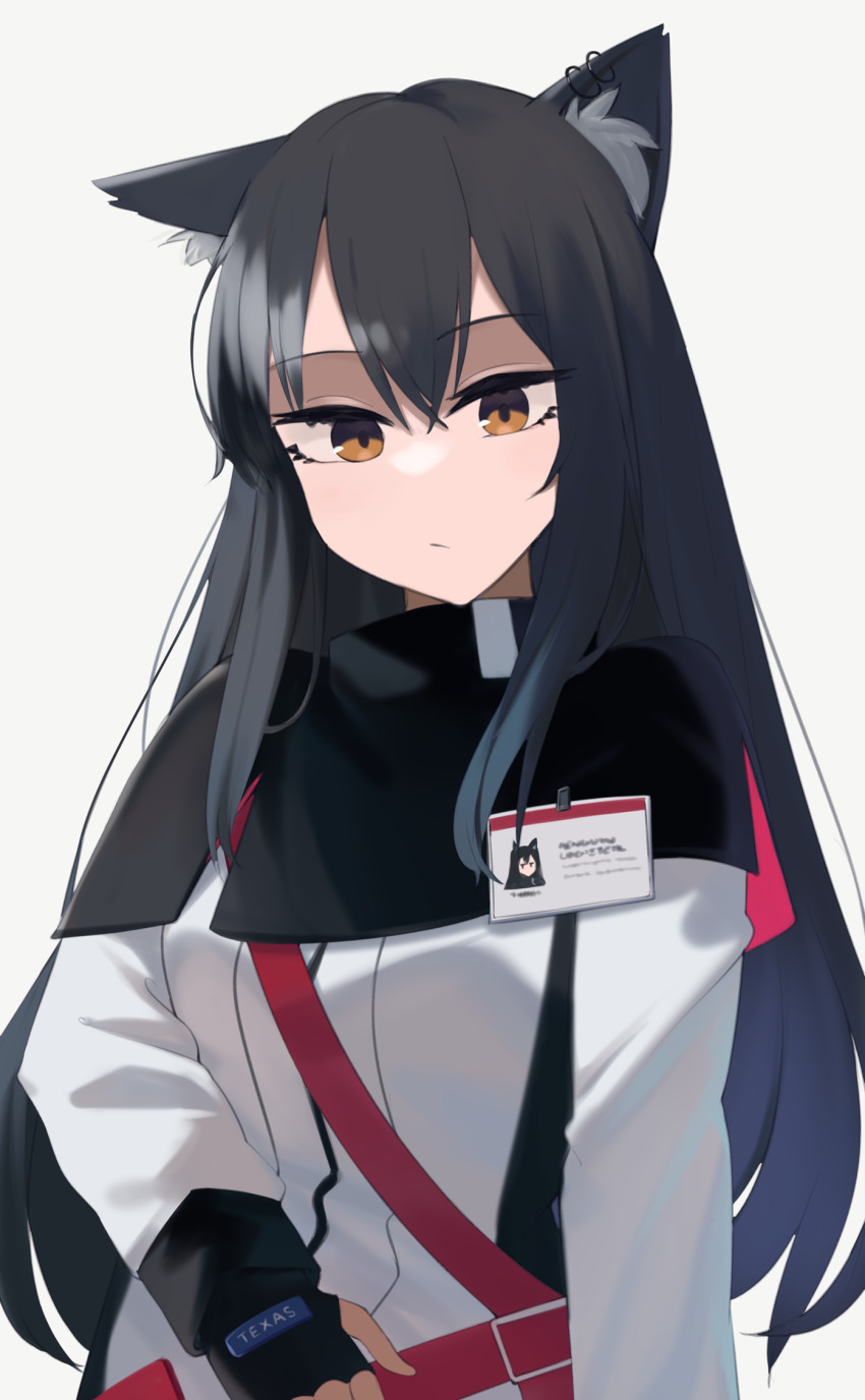 Texas (Arknights) Rule 34 Image
