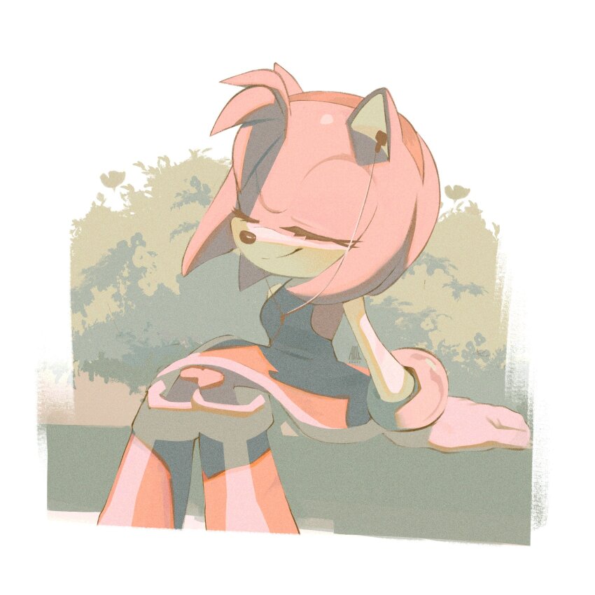 Amy Rose (Sonic (Series)) Rule 34 Image