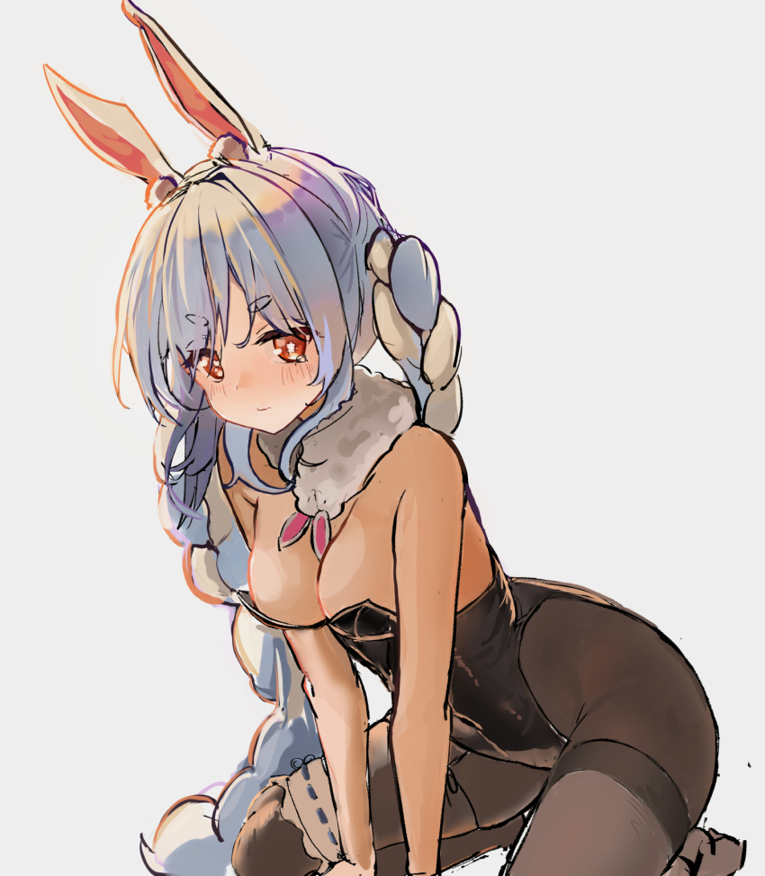 Don-Chan (Usada Pekora) Rule 34 Image