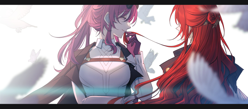 Himeko (Honkai: Star Rail) Rule 34 Image