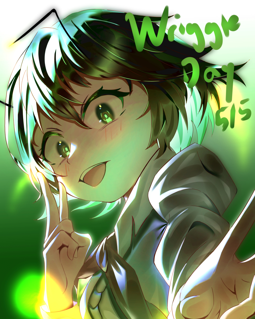 Wriggle Nightbug (Touhou) Rule 34 Image