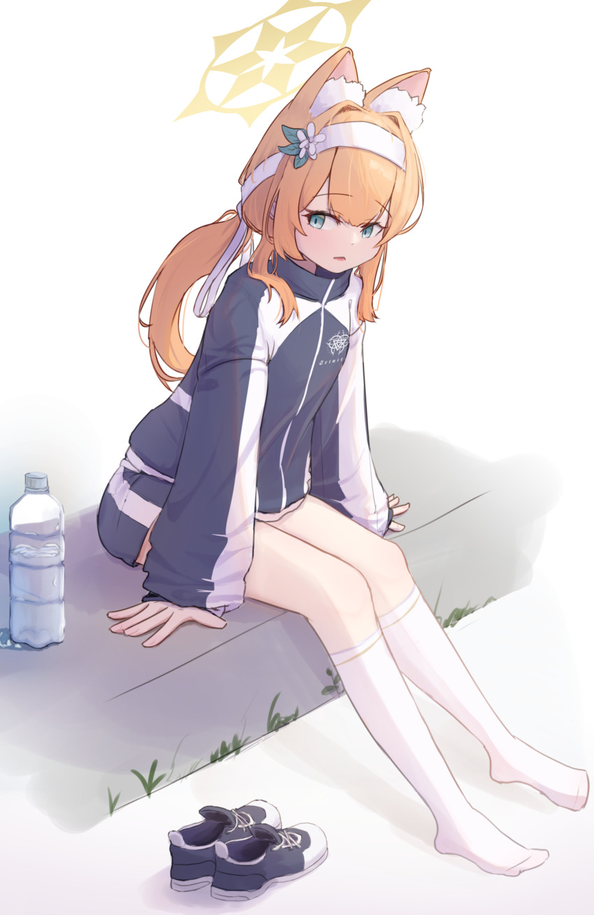 Mari (Blue Archive) Rule 34 Image