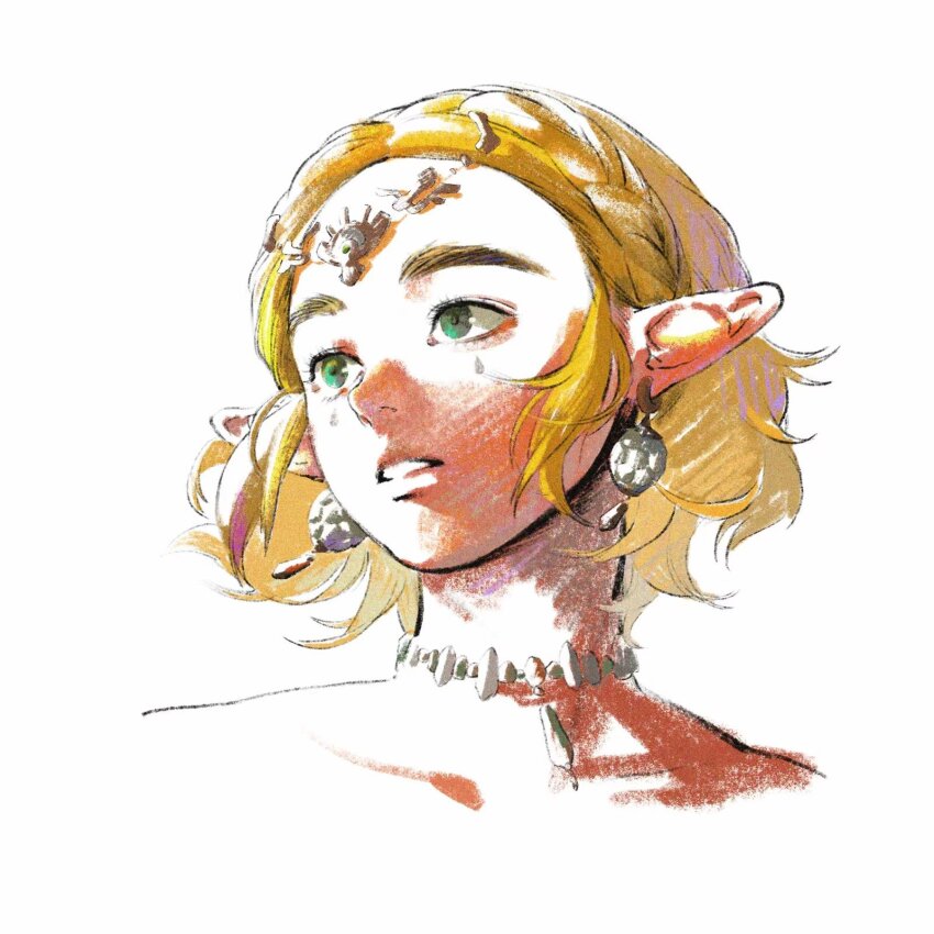 Princess Zelda (Nintendo) Rule 34 Image