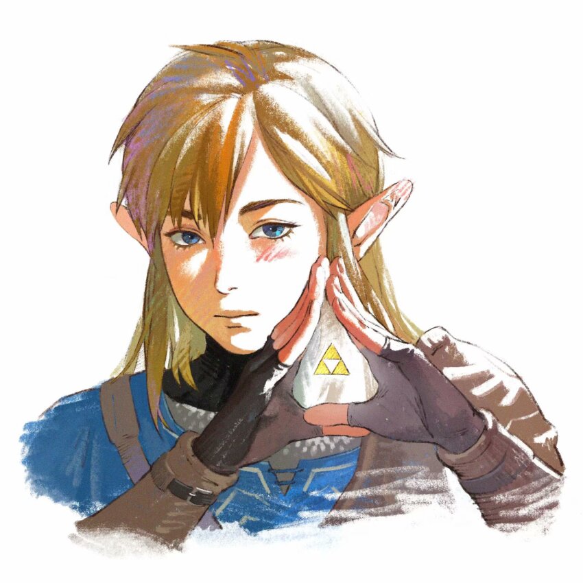 Link (Nintendo) Rule 34 Image