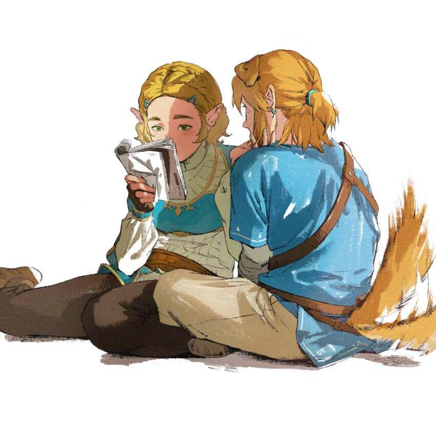 Link (Nintendo) Rule 34 Image
