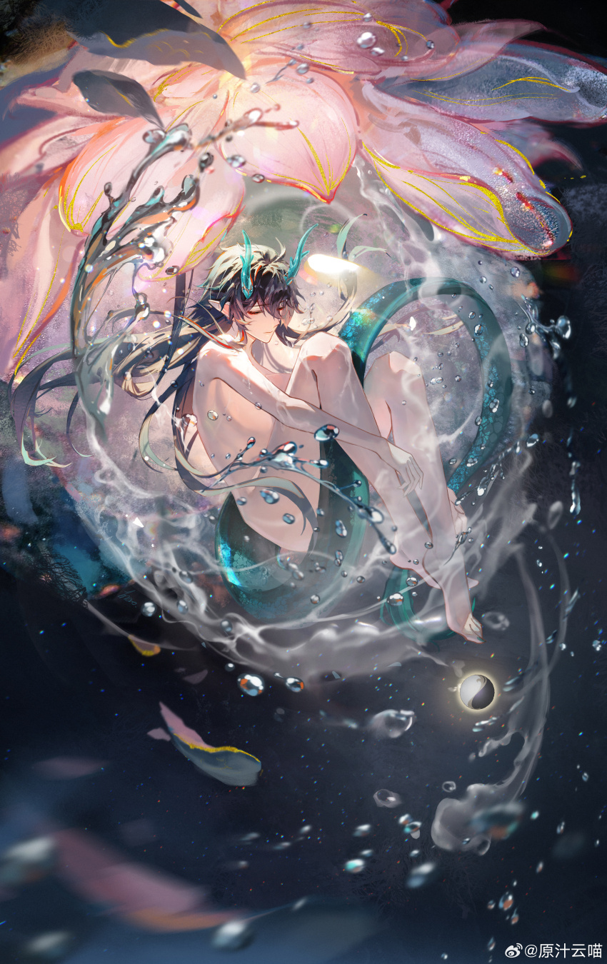 Dan Heng (Honkai: Star Rail) Rule 34 Image