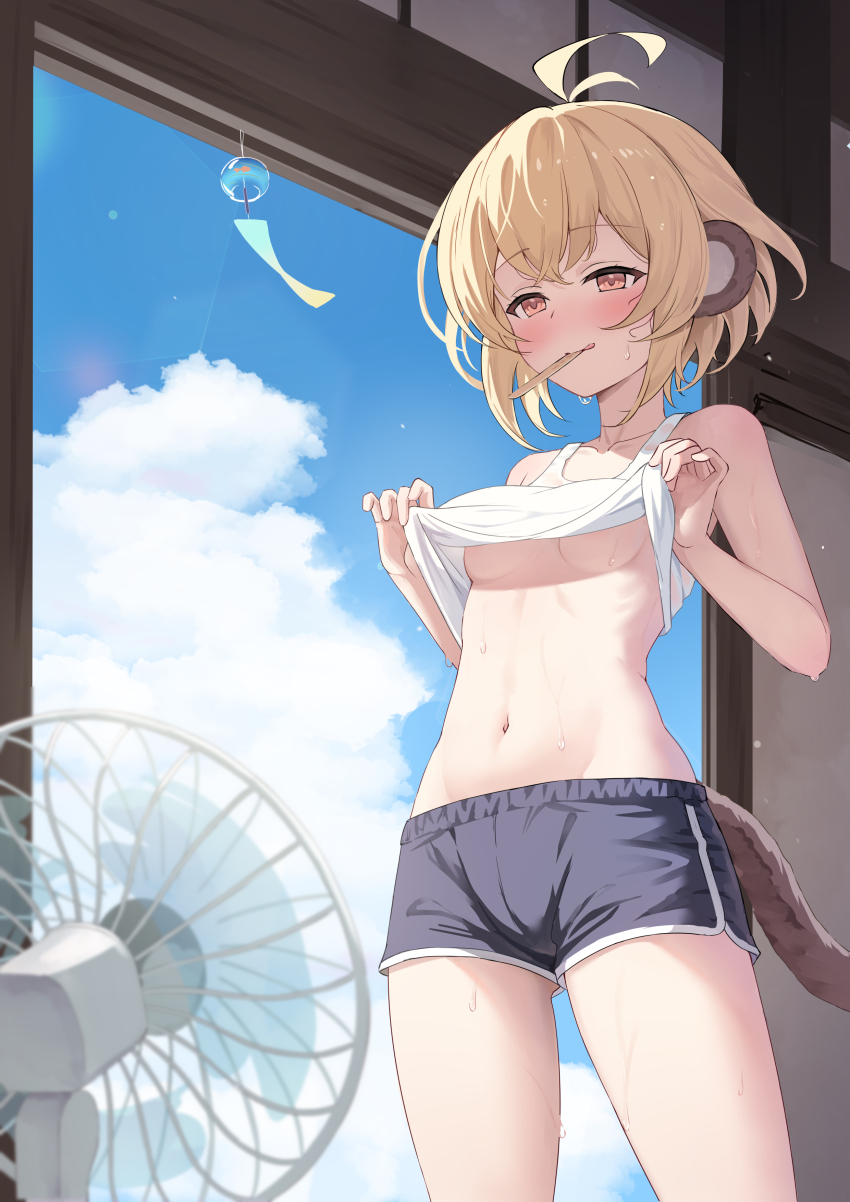 Erune (Andira (Granblue Fantasy)) Rule 34 Image