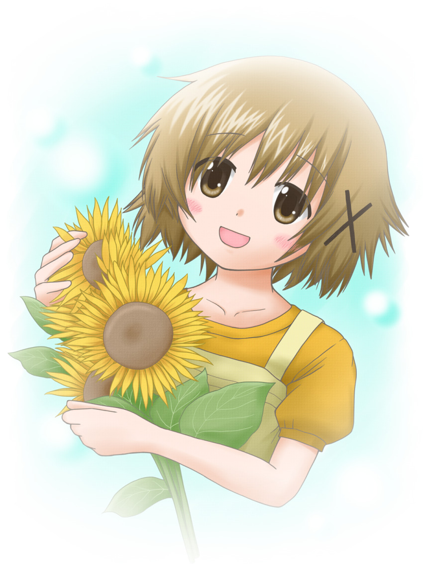 Yuno (Hidamari Sketch) Rule 34 Image