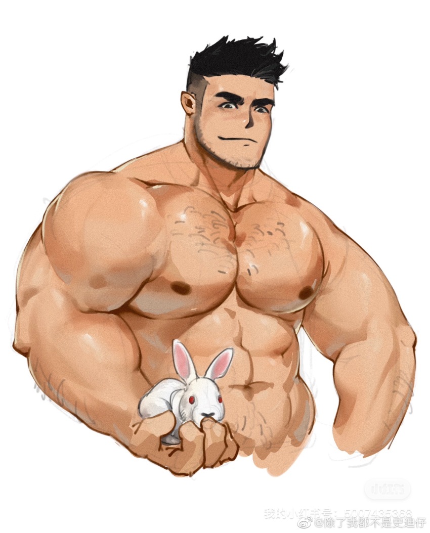 Chinese Zodiac Rule 34 Image