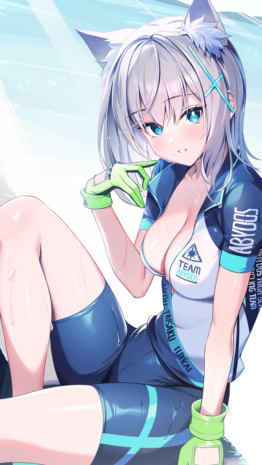 Shiroko (Blue Archive) Rule 34 Image