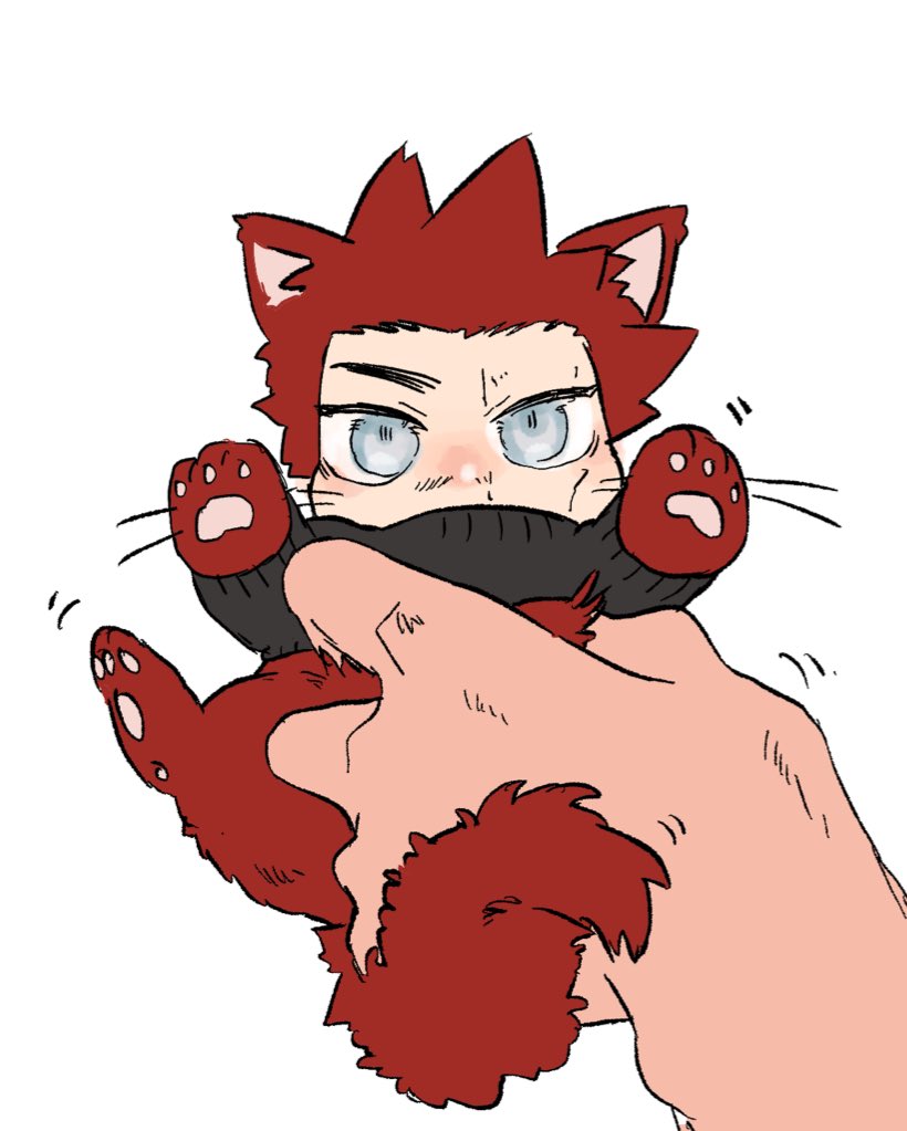 Endeavor (Boku No Hero Academia) Rule 34 Image