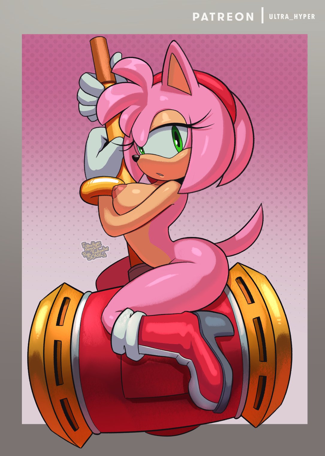 Amy Rose (Sega) Rule 34 Image
