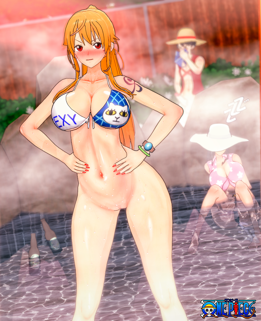 Monkey D Luffy (One Piece) Rule 34 Image