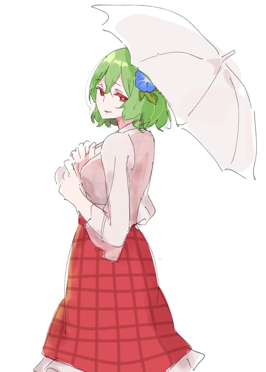Kazami Yuuka (Touhou) Rule 34 Image