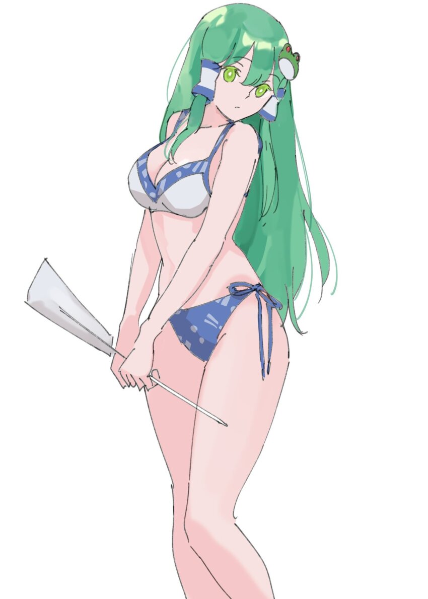Kochiya Sanae (Touhou) Rule 34 Image