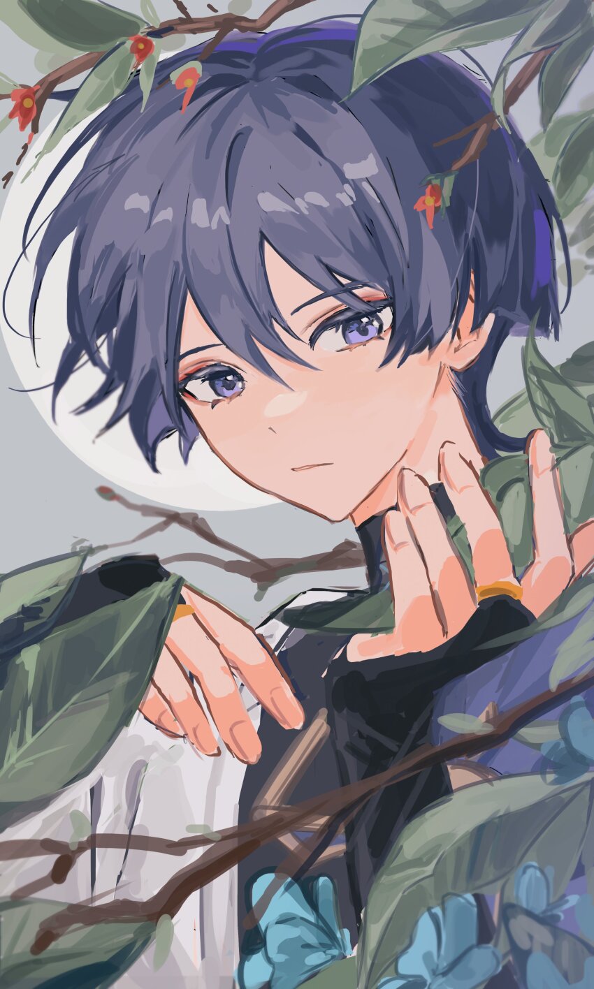 Scaramouche (Genshin Impact) Rule 34 Image