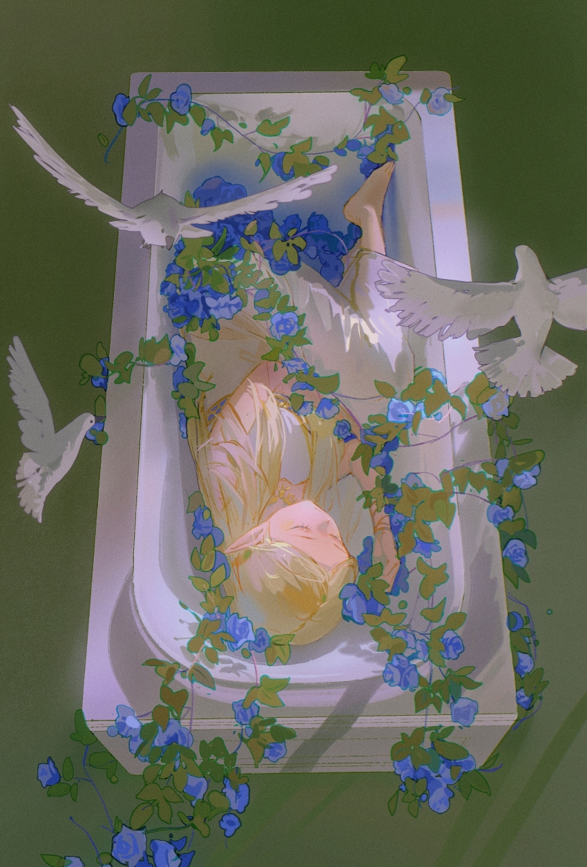 Princess Zelda (Nintendo) Rule 34 Image