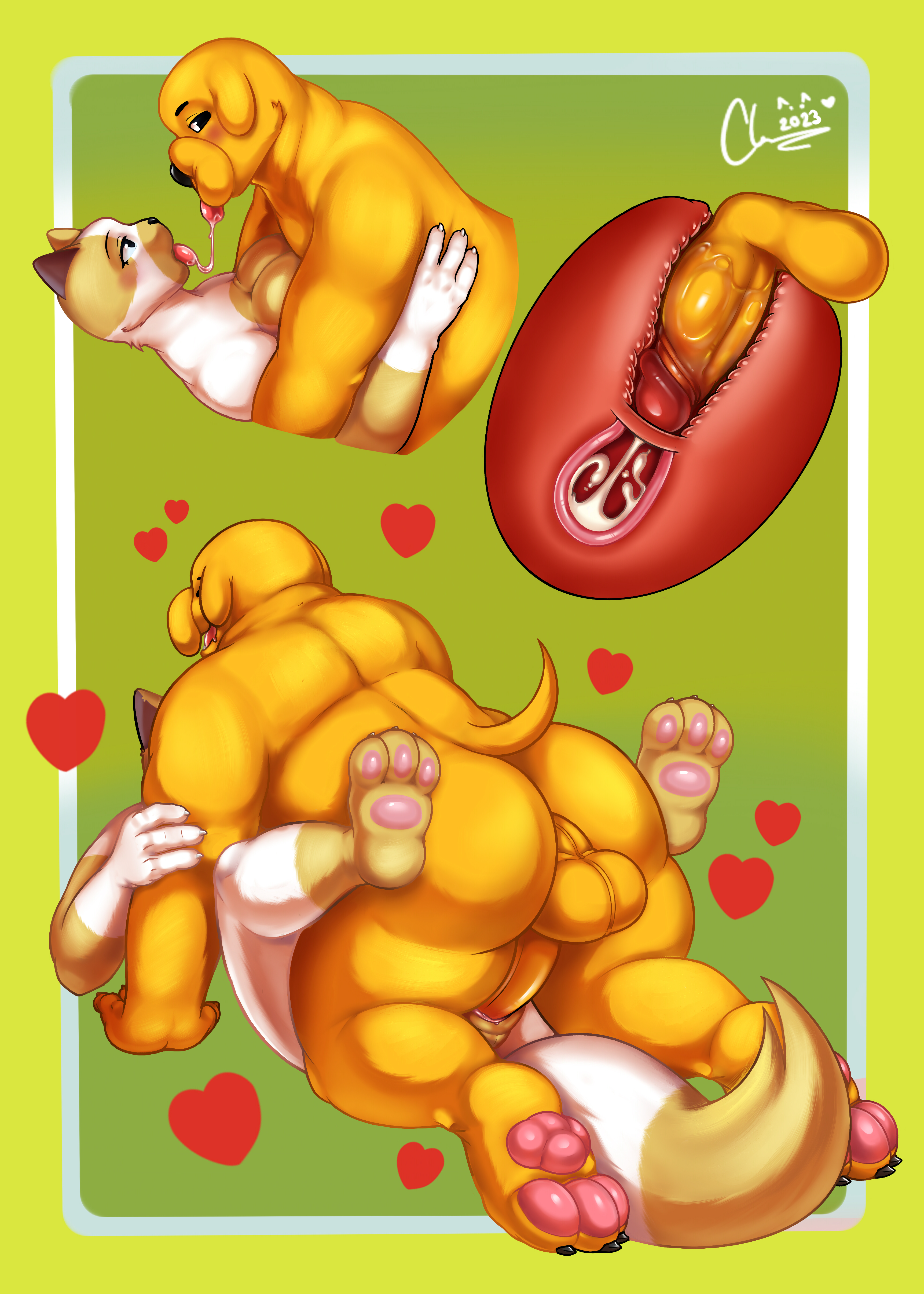 Cake The Cat (Adventure Time) Rule 34 Image