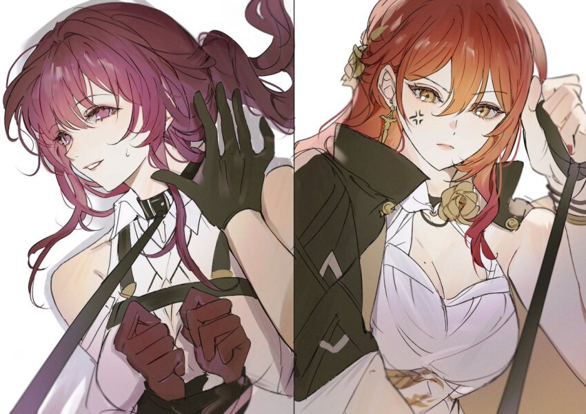Himeko (Honkai: Star Rail) Rule 34 Image