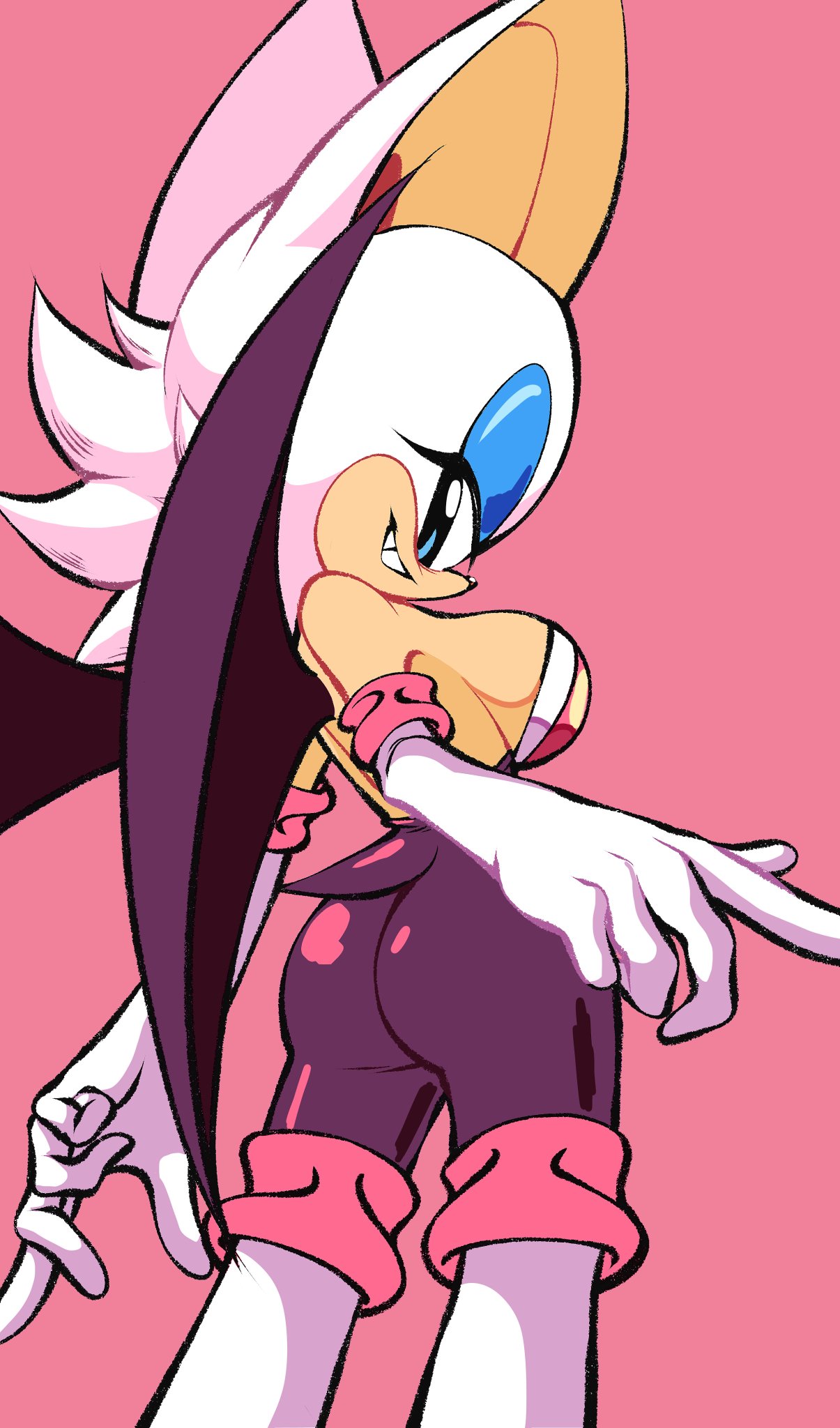Rouge The Bat (Sonic (Series)) Rule 34 Image