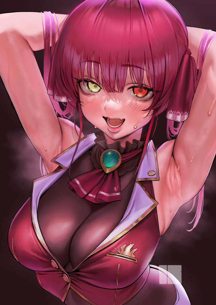 Houshou Marine (Hololive) Rule 34 Image