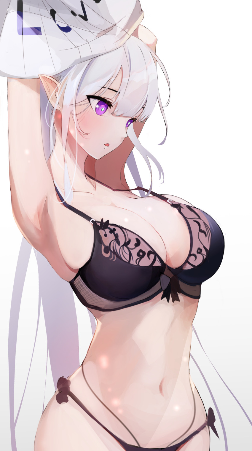Emilia (Re:Zero) Rule 34 Image