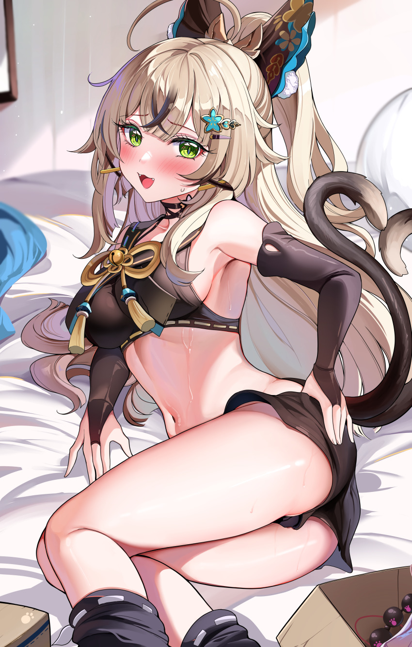 Kirara (Genshin Impact) Rule 34 Image