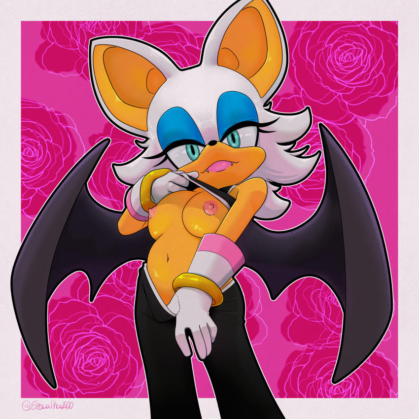 Rouge The Bat (Sega) Rule 34 Image
