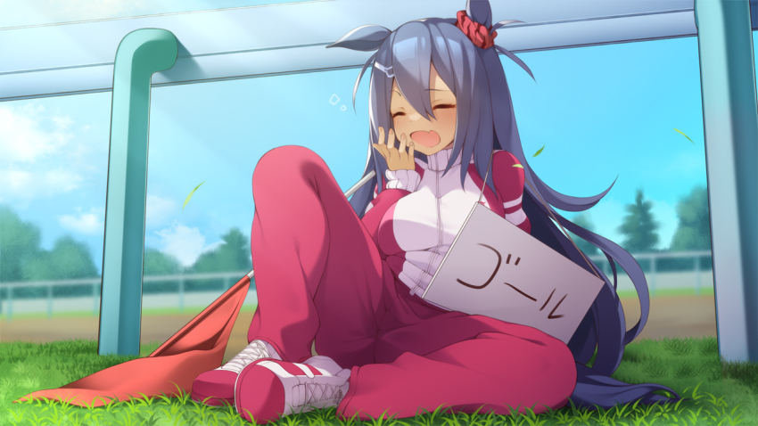 Hishi Amazon (Umamusume) Rule 34 Image