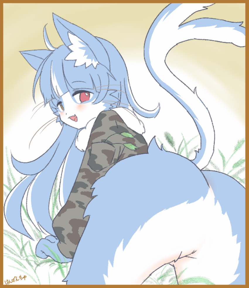 Japan Air Self-Defense Force Rule 34 Image