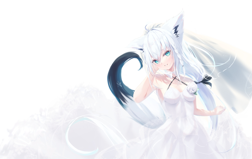 Shirakami Fubuki (Hololive) Rule 34 Image