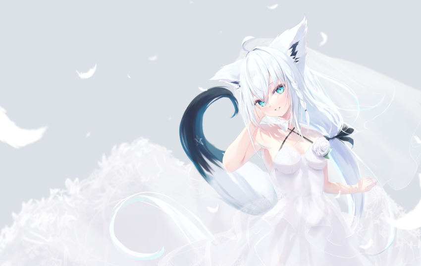 Shirakami Fubuki (Hololive) Rule 34 Image