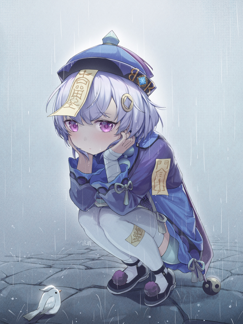 Qiqi (Genshin Impact) Rule 34 Image