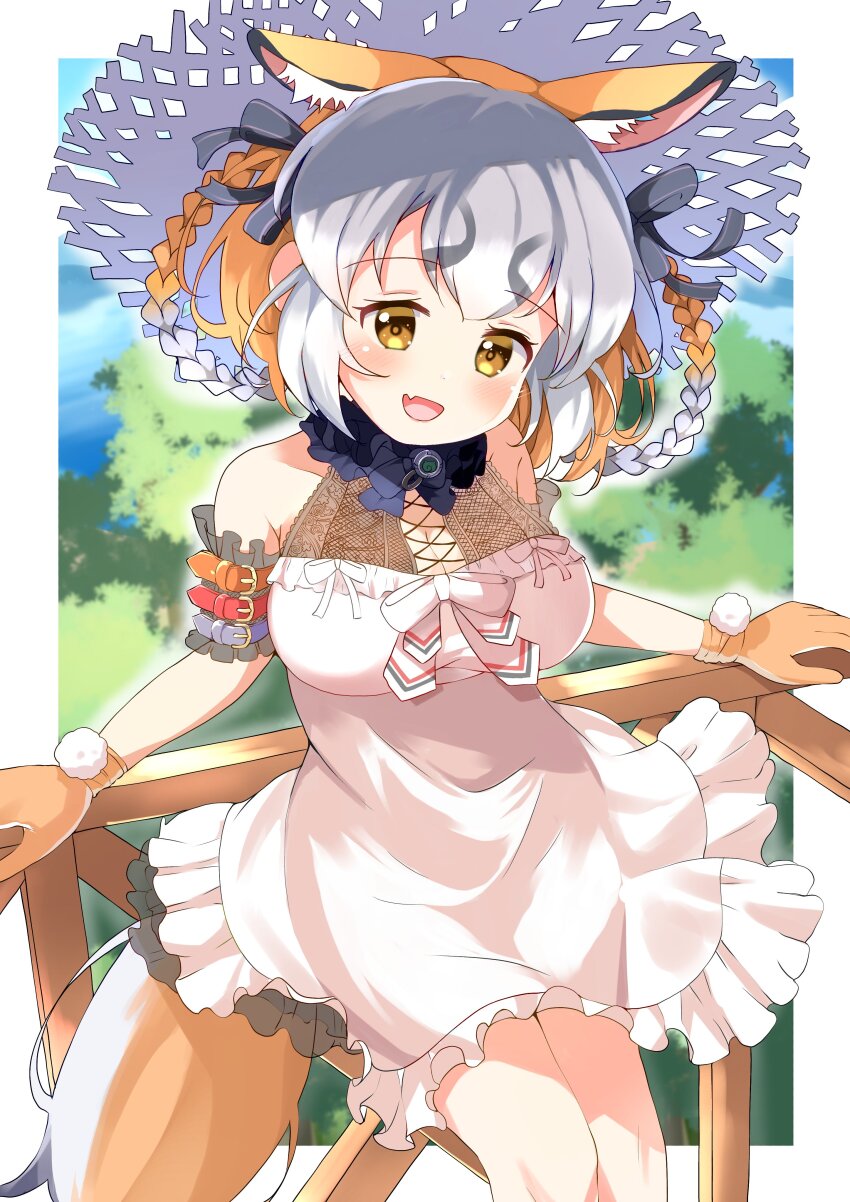Island Fox (Kemono Friends) Rule 34 Image