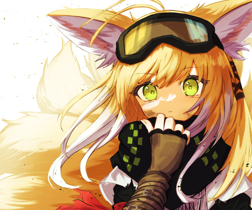Suzuran (Arknights) Rule 34 Image