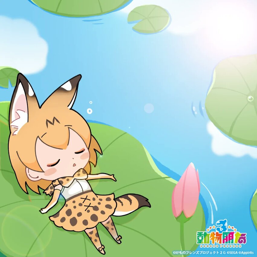 Serval (Kemono Friends) Rule 34 Image
