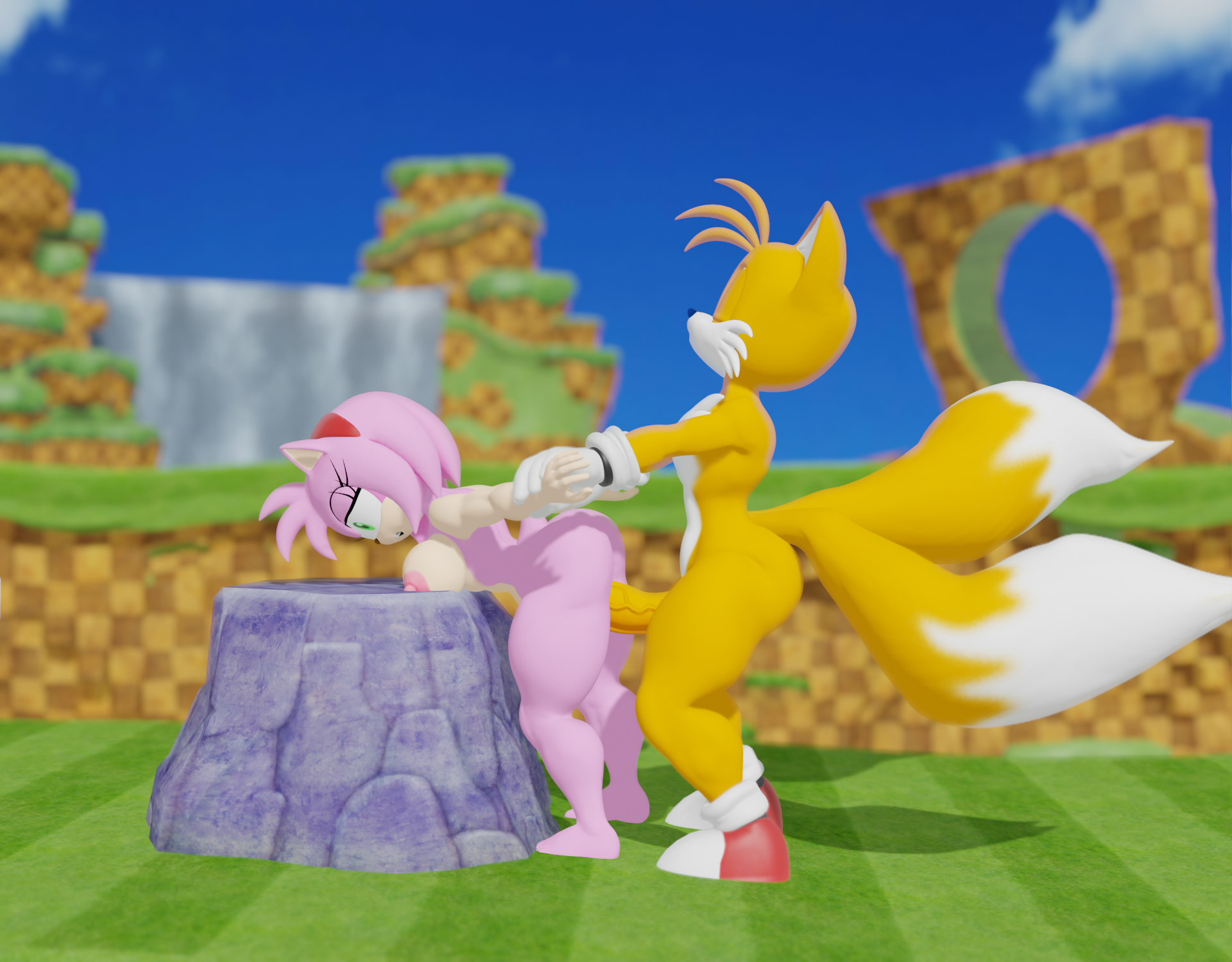 Amy Rose (Sonic (Series)) Rule 34 Image