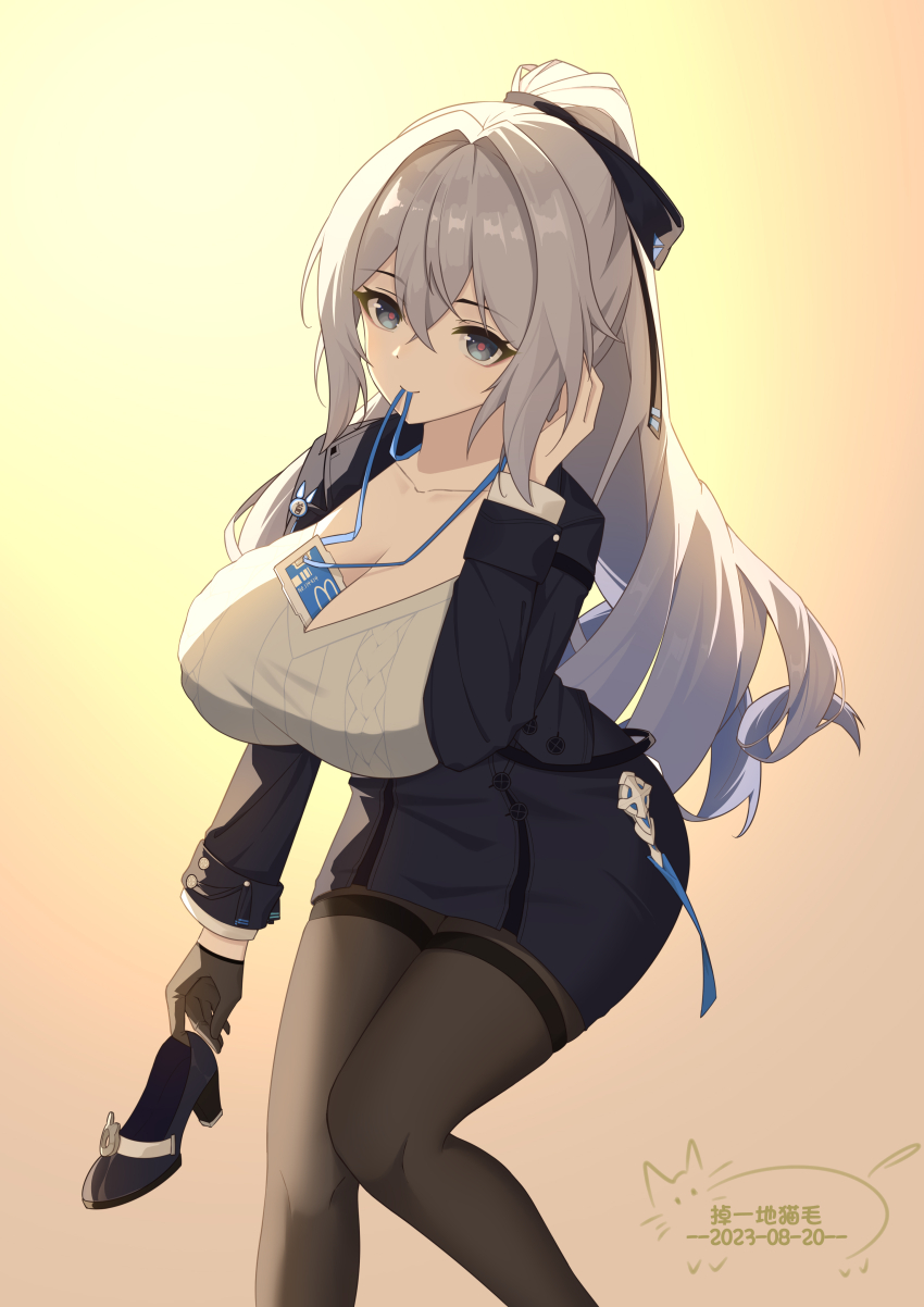 Bronya Zaychik (Honkai (Series)) Rule 34 Image