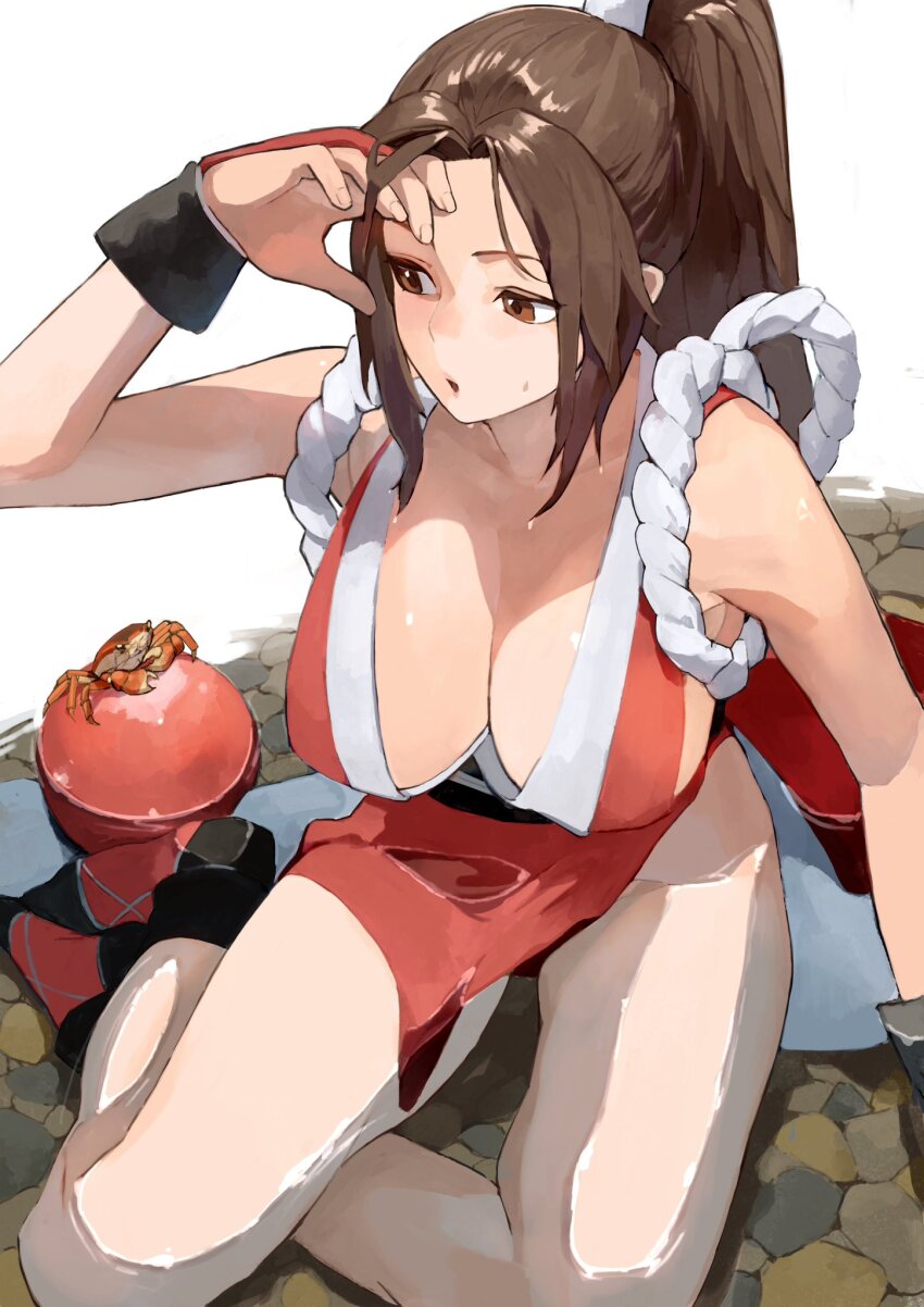 The King Of Fighters Rule 34 Image