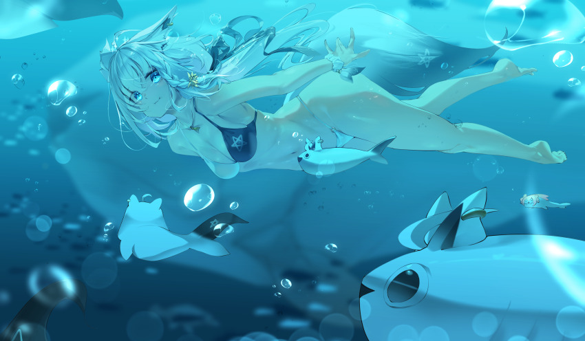 Shirakami Fubuki (Hololive) Rule 34 Image