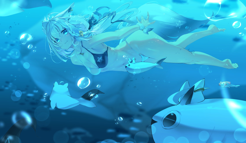 Shirakami Fubuki (Hololive) Rule 34 Image
